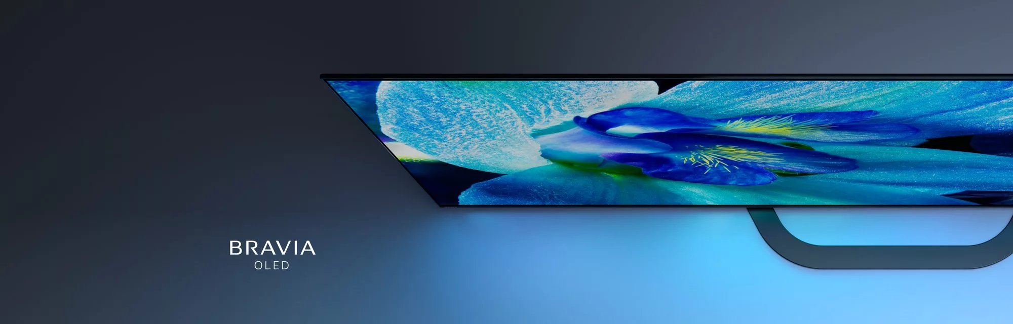 Sony Television
